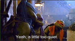 Teenage Mutant Ninja Turtles Yeah a little too quiet Meme Template