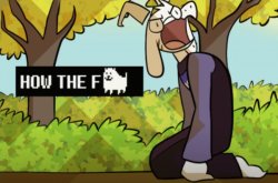 HOW THE FU- Meme Template