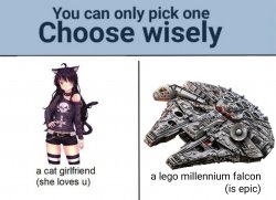 You can only pick one. Choose wisely. Meme Template