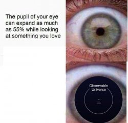 expanding eye Meme Template