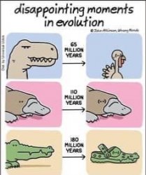 Disappointing Moments in evolution Meme Template