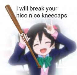 I will break your nico nico kneecaps Meme Template
