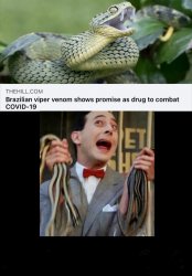 Pewee Herman with COVID Cure Snakes Meme Template