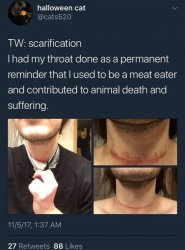 Why are vegans like this Meme Template