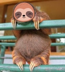 Sloth cute sloth Meme Template