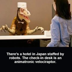 Hotel in Japan Meme Template