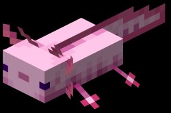 Axolotl minecraft Meme Template
