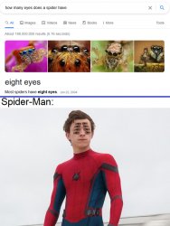 Spider-man with 8 eyes Meme Template