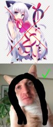 Anime cat doesn't work out Meme Template