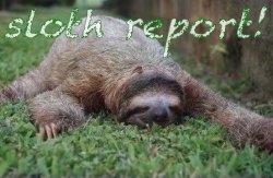Sloth report Meme Template