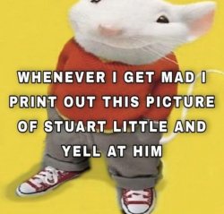 Stuart little meme Meme Template