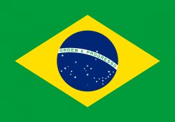 Flag of Brazil Meme Template