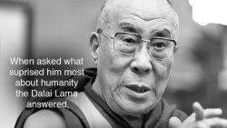 When asked what surprised him most about humanity the Dalai Lama Meme Template