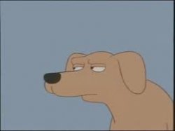 Suspicious dog Simpsons Meme Template