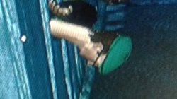 Saints Row the Third - head stuck in fence Meme Template