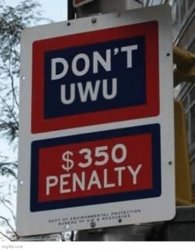 Don't uwu Meme Template