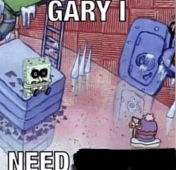 gary i need Meme Template