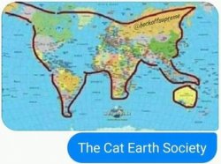 the cat earth society Meme Template