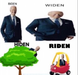 four stages of biden Meme Template