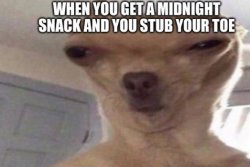 When you stub your toe Meme Template