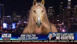 ann coulter horse face ivermectin fox news Meme Template