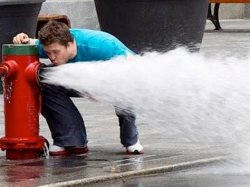drinking from the fire hydrant Meme Template