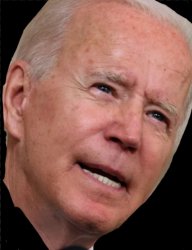 Bidenhead Meme Template