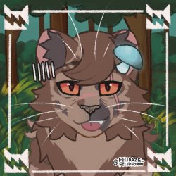 Mimtoids OC Moonclaw Meme Template