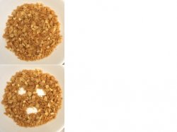 Surprised Oatmeal Meme Template