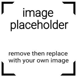 image placeholder Meme Template