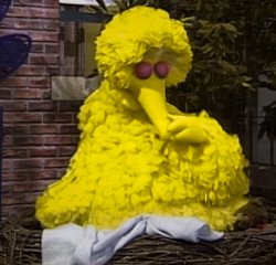 Big bird sleep Meme Template