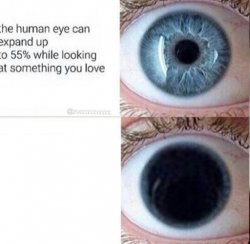 The human eye can expand up to 55% Meme Template