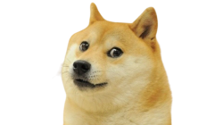 DOGECOIN Meme Template