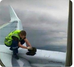 Guy fixing plane mid-flight Meme Template