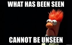 What has been seen cannot be unseen Meme Template