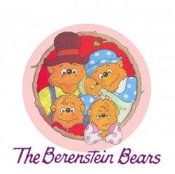 Berenstein Bears Meme Template