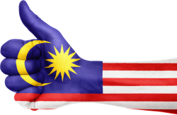 Malaysia flag hand thumbs up Meme Template