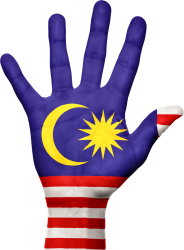 Malaysian flag hand Meme Template