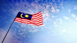 Malaysian flag Meme Template