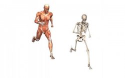 Running skeleton Meme Template