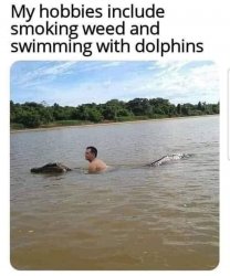 Smoking weed and swimming with dolphins Meme Template