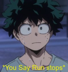 You Say Run stops Meme Template