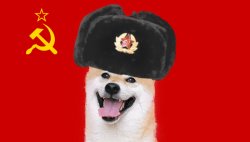 Russia doge Meme Template