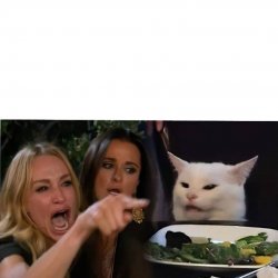 Hungry blonde and cat Meme Template