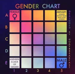Gender chart Meme Template
