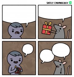 Rat with gift Meme Template