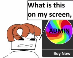 What is this on my screen, Meme Template