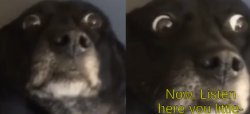 Anger Dog Meme Template