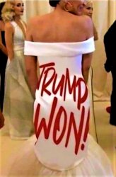 AOC trump won dress Meme Template