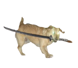 The dawg Meme Template